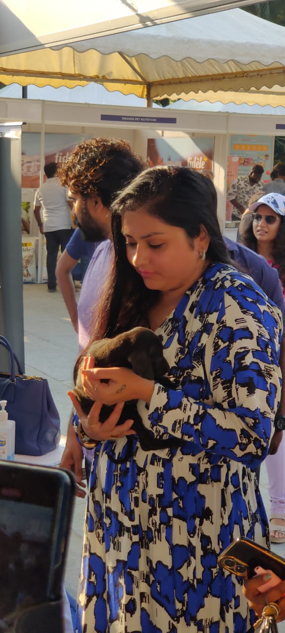 HEAVEN FOR ANIMALS CONDUCTS A MEGA VACCINATION DRIVE FOR 1100 STRAY DOGS IN CHENNAI